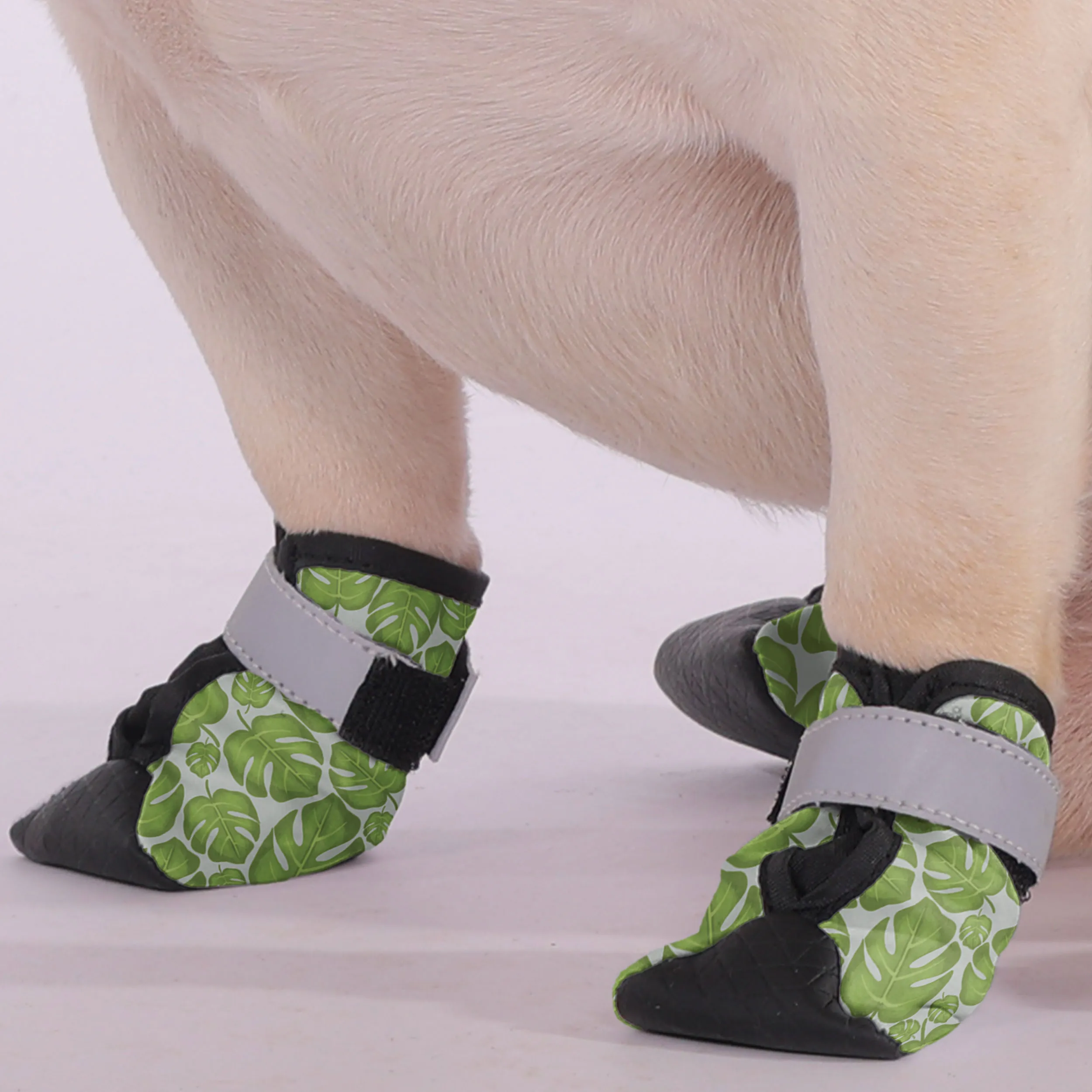 Donut - Premium Dog Socks & Boots for French Bulldogs