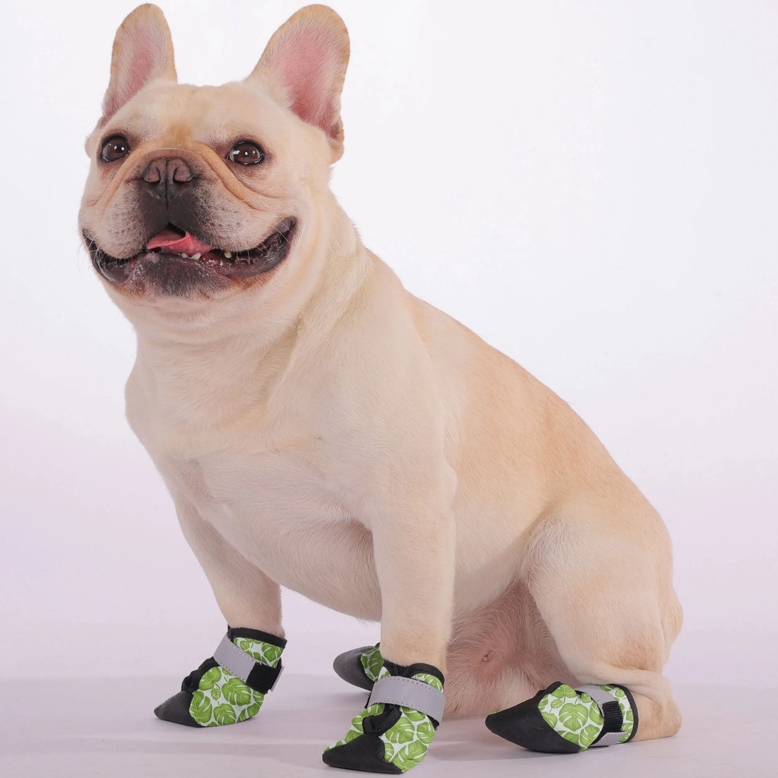 Donut - Premium Dog Socks & Boots for French Bulldogs